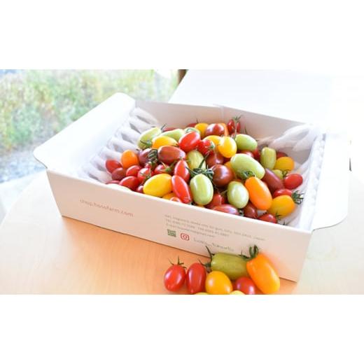 ふるさと納税 野菜類 トマト 岐阜県 池田町 見て楽しい、食べて美味しい。 トマトの宝石箱 ジュエルスピカ(1.3kg)  