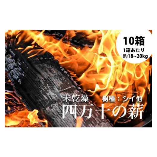 ふるさと納税 高知県 四万十町 四万十の薪 未乾燥 シイ他(約18〜20kg)×10箱 Bnm-09 四万十の薪 未乾燥 キャンプ 薪ストーブ ストーブ 薪割り 割り薪 まき…