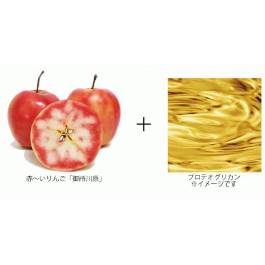 ふるさと納税 青森県 五所川原市 AKARIN5 プロテオグリカン スキンローション スキンローション AKARIN5 プロテオグリカン 青森県 ふるさと納税 五所川原市 NA1100092411(10920円)