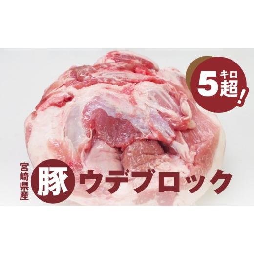 ふるさと納税 豚肉 焼肉・バーベキュー 宮崎県 木城町 宮崎県産豚ウデブロック5kg超_K16_0014_12