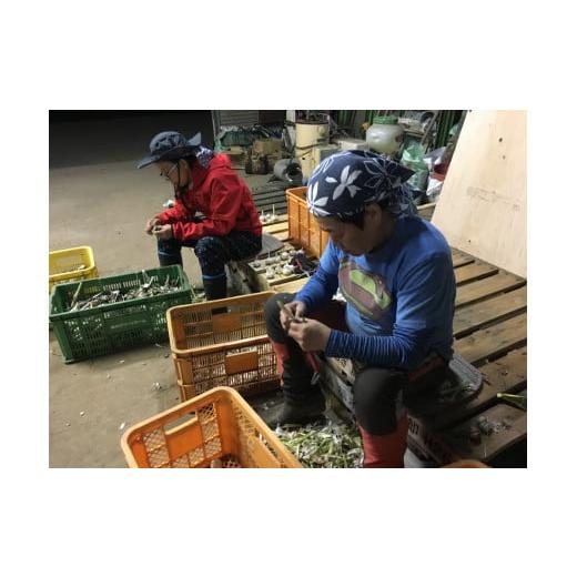 ふるさと納税 栃木県 那須町 ALOHA FARM　黒のススメ!　熟成黒にんにくゼリー〔P-2〕≪ニンニク ゼリー 温活 ≫ 