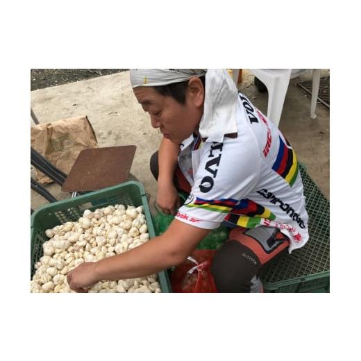 ふるさと納税 栃木県 那須町 ALOHA FARM　黒のススメ!　熟成黒にんにくゼリー〔P-2〕≪ニンニク ゼリー 温活 ≫ 