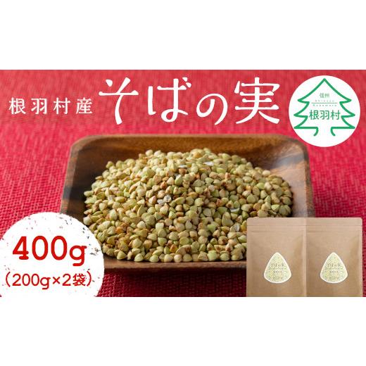 ふるさと納税 長野県 根羽村 スーパーフード!信州根羽村産 そばの実 400g (200g×2袋) 4000円