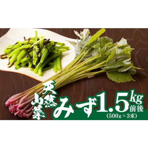 ふるさと納税 野菜類 山菜 秋田県 大館市 予約受付 天然山菜 みず 60P3207 ／ 山菜 天然 山 自然 みず ミズ うわばみそう ウワバミソウ 東北 秋田 大館 天然山…の画像