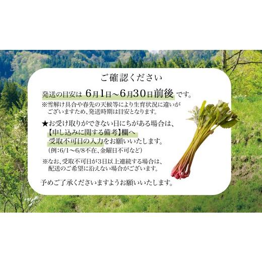 ふるさと納税 野菜類 山菜 秋田県 大館市 予約受付 天然山菜 みず 60P3207 ／ 山菜 天然 山 自然 みず ミズ うわばみそう ウワバミソウ 東北 秋田 大館 天然山…の画像