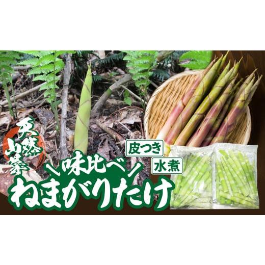 ふるさと納税 野菜類 山菜 秋田県 大館市 予約受付 天然山菜 「ねまがりたけ味比べ」2点セット 90P3210 ／ 山菜 天然 山 自然 たけのこ タケノコ ねまがりた…の画像