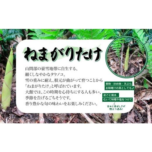 ふるさと納税 野菜類 山菜 秋田県 大館市 予約受付 天然山菜 「ねまがりたけ味比べ」2点セット 90P3210 ／ 山菜 天然 山 自然 たけのこ タケノコ ねまがりた…の画像