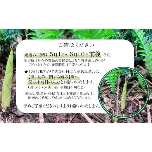 ふるさと納税 野菜類 山菜 秋田県 大館市 予約受付 天然山菜 「ねまがりたけ味比べ」2点セット 90P3210 ／ 山菜 天然 山 自然 たけのこ タケノコ ねまがりた…の画像