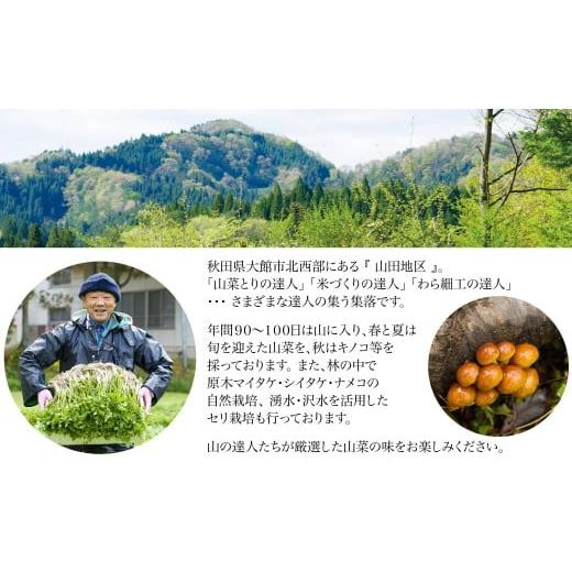 ふるさと納税 野菜類 山菜 秋田県 大館市 予約受付 天然山菜 「ねまがりたけ味比べ」2点セット 90P3210 ／ 山菜 天然 山 自然 たけのこ タケノコ ねまがりた…の画像