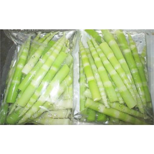 ふるさと納税 野菜類 山菜 秋田県 大館市 予約受付 天然山菜 「ねまがりたけ味比べ」2点セット 90P3210 ／ 山菜 天然 山 自然 たけのこ タケノコ ねまがりた…の画像