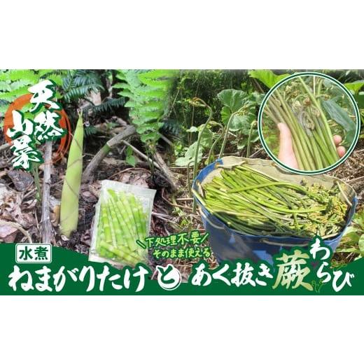 ふるさと納税 野菜類 山菜 秋田県 大館市 予約受付 天然山菜 「ねまがりたけ水煮とあく抜きわらび」セット 60P3225 ／ 山菜 天然 山 自然 たけのこ タケノコ …の画像