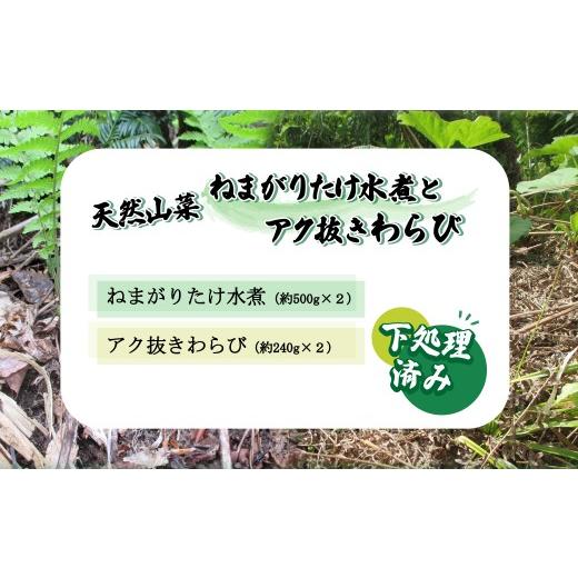 ふるさと納税 野菜類 山菜 秋田県 大館市 予約受付 天然山菜 「ねまがりたけ水煮とあく抜きわらび」セット 60P3225 ／ 山菜 天然 山 自然 たけのこ タケノコ …の画像