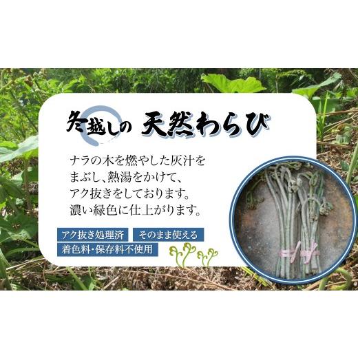 ふるさと納税 野菜類 山菜 秋田県 大館市 予約受付 天然山菜 「ねまがりたけ水煮とあく抜きわらび」セット 60P3225 ／ 山菜 天然 山 自然 たけのこ タケノコ …の画像