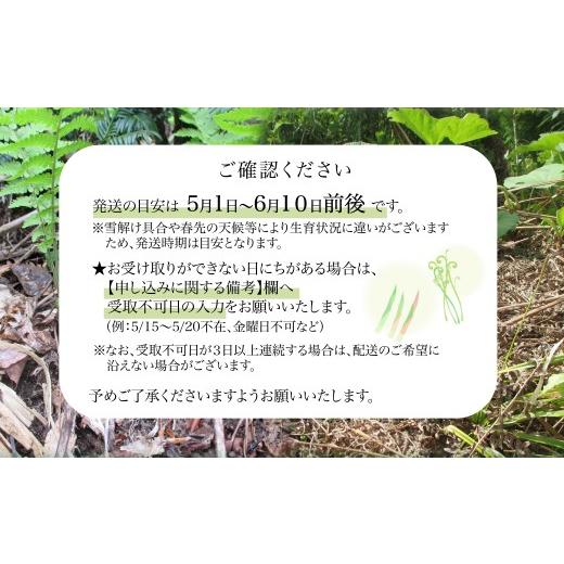 ふるさと納税 野菜類 山菜 秋田県 大館市 予約受付 天然山菜 「ねまがりたけ水煮とあく抜きわらび」セット 60P3225 ／ 山菜 天然 山 自然 たけのこ タケノコ …の画像