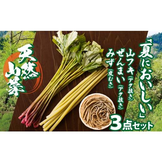 ふるさと納税 野菜類 山菜 秋田県 大館市 予約受付 天然山菜 「夏においしい」3点セット 60P3226 ／ 山 みず ミズ ふき フキ ぜんまい ゼンマイ 山菜 自然 天…の画像