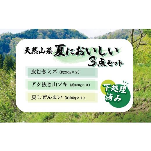 ふるさと納税 野菜類 山菜 秋田県 大館市 予約受付 天然山菜 「夏においしい」3点セット 60P3226 ／ 山 みず ミズ ふき フキ ぜんまい ゼンマイ 山菜 自然 天…の画像