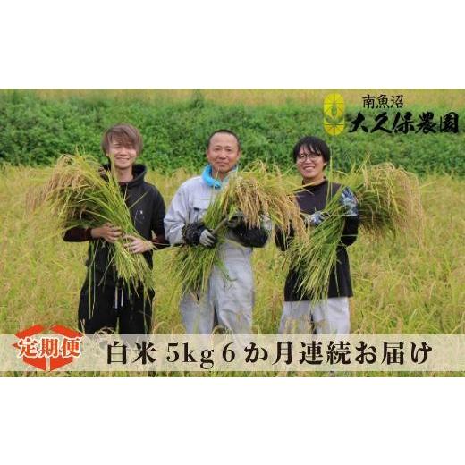 ふるさと納税 米 コシヒカリ 新潟県 南魚沼市 令和7年産新米 6ヶ月定期便 南魚沼産コシヒカリ 八富米 農薬7割減の特別栽培米 白米5kg×全6回