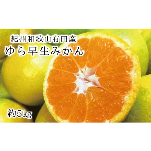 ふるさと納税 果物類 みかん 和歌山県 北山村  先行予約 紀州和歌山有田産ゆら早生みかん 5kg　 2026年10月下旬頃〜11月上旬頃順次発送（お届け日指定不可） u… | 