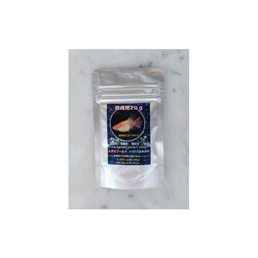 ふるさと納税 埼玉県 飯能市 [No.5221-0550]メダカ「ダルマメダカ」　ミックス5匹セット 