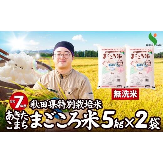 ふるさと納税 米 あきたこまち 秋田県 大館市 令和7年産秋田県特別栽培米あきたこまち「まごころ米(無洗米)」10kg 110P9225 / 米 無洗米 10kg あきたこまち …