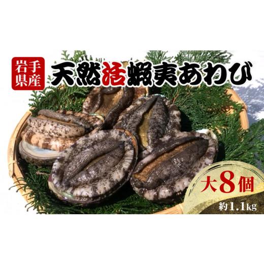 ふるさと納税 魚貝類 アワビ 岩手県 大船渡市 スピード発送 あわび 大サイズ 8個 約1.1kg 冷蔵 鮑 あわび アワビ 蝦夷あわび 活あわび Abalone 刺し身 刺身 …