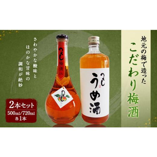 ふるさと納税 福岡県 筑後市 つくし梅酒 2本セット (500ml 17度・720ml 12度) 梅酒