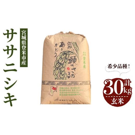 ふるさと納税 米 ササニシキ 宮城県 登米市  最短14営業日以内に発送予定 令和7年産 ササニシキ 玄米 30kg 登米市産 お米 おこめ 米 コメ ささにしき ご飯 ご…の画像