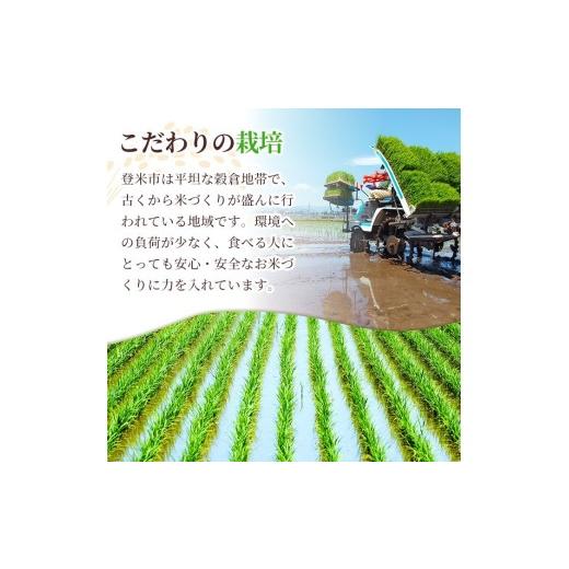 ふるさと納税 米 ササニシキ 宮城県 登米市  最短14営業日以内に発送予定 令和7年産 ササニシキ 玄米 30kg 登米市産 お米 おこめ 米 コメ ささにしき ご飯 ご…の画像