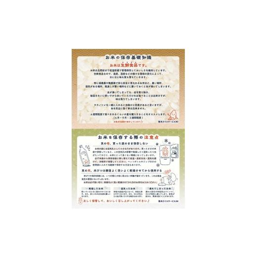 ふるさと納税 米 ササニシキ 宮城県 登米市  最短14営業日以内に発送予定 令和7年産 ササニシキ 玄米 30kg 登米市産 お米 おこめ 米 コメ ささにしき ご飯 ご…の画像