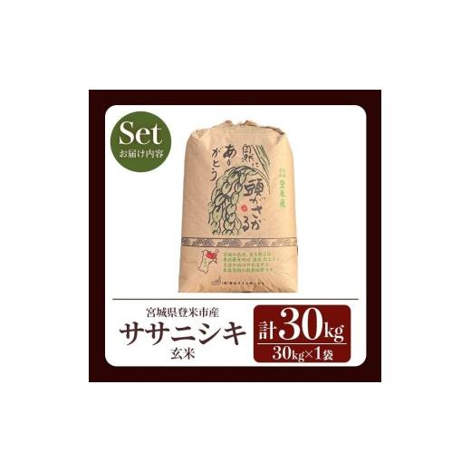 ふるさと納税 米 ササニシキ 宮城県 登米市  最短14営業日以内に発送予定 令和7年産 ササニシキ 玄米 30kg 登米市産 お米 おこめ 米 コメ ささにしき ご飯 ご…の画像