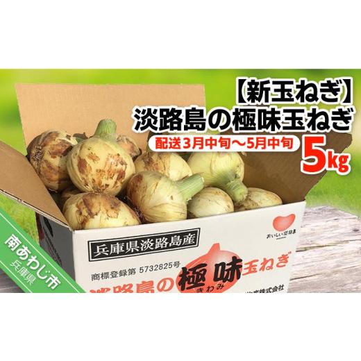 ふるさと納税 野菜類 玉ねぎ 兵庫県 南あわじ市  新玉ねぎ 極上の味 淡路島の極味玉ねぎ 5kg  配送３月中旬〜5月中旬の画像
