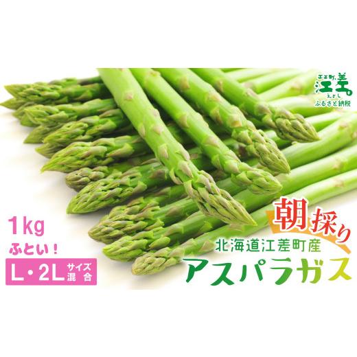 ふるさと納税 野菜類 アスパラガス 北海道 江差町 ＼夏アスパラ 先行予約受付中/北海道江差町産 アスパラガス L〜2Lサイズ 1kg 約20本 太い 甘い ジューシ…