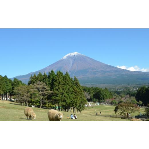 ふるさと納税 体験チケット 静岡県 富士宮市 0015-54-01. 朝霧高原　まかいの牧場　入場＆バギー体験チケット_3