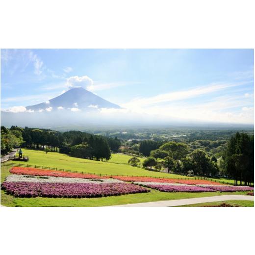 ふるさと納税 体験チケット 静岡県 富士宮市 0015-54-01. 朝霧高原　まかいの牧場　入場＆バギー体験チケット_4