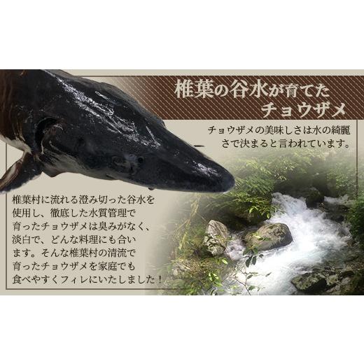 ふるさと納税 宮崎県 椎葉村 【宮崎県 椎葉産】キャビアフィッシュフィレ 1尾【800g〜1.2Kg】国産 チョウザメ フィレ肉 切り身 宮崎県 1尾 800g チョウザメ
