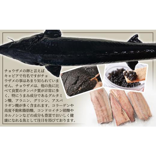 ふるさと納税 宮崎県 椎葉村 【宮崎県 椎葉産】キャビアフィッシュフィレ 1尾【800g〜1.2Kg】国産 チョウザメ フィレ肉 切り身 宮崎県 1尾 800g チョウザメ