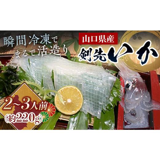 ふるさと納税 山口県 山陽小野田市 瞬冷まるで活造り!天然「剣先イカ」(2〜3人前程度) F6L-043