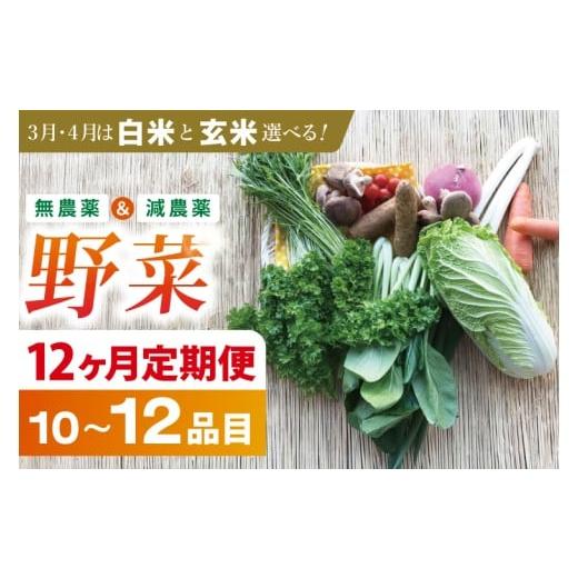ふるさと納税 セット・詰合せ 茨城県 行方市 12ヶ月定期便 身体が喜ぶ季節の野菜 10〜12品目(3月、4月は米 5kg)|米 お米 こめ 玄米 野菜 野菜セット 栽培期…