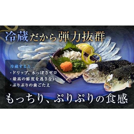 ふるさと納税 フグ 山口県 山陽小野田市  先んずる取って置く 送りとどける日決する至要たる とらふぐ刺身 とらふぐ薄からだ付き とらふぐ皮 ふぐ刺しフグ 刺身 海鮮 F6L-039
