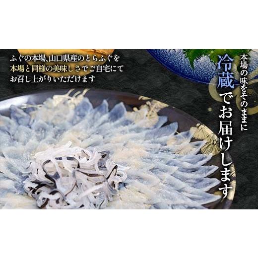 ふるさと納税 フグ 山口県 山陽小野田市  先んずる取って置く 送りとどける日決する至要たる とらふぐ刺身 とらふぐ薄からだ付き とらふぐ皮 ふぐ刺しフグ 刺身 海鮮 F6L-039