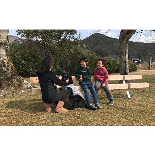 ふるさと納税 雑貨・日用品 高知県 四万十町 組み立て簡単フリースタイルベンチ　「四万十ヒノキのアドベンチー」　(2m以内)　Bnm-A10 公園 庭 店舗 椅子 長椅…_2