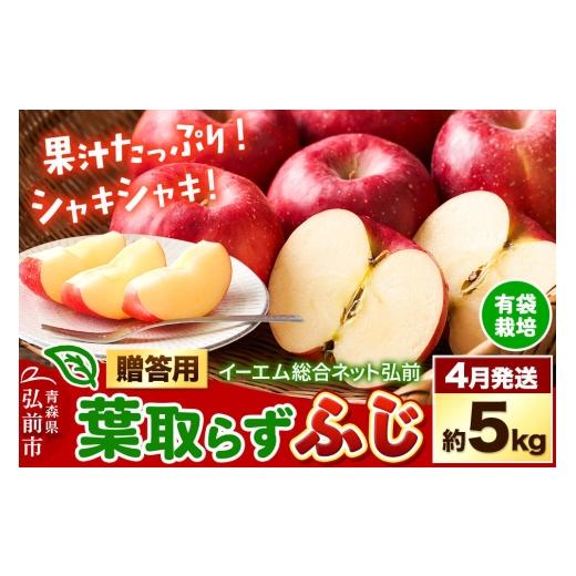 ふるさと納税 りんご 青森県 弘前市 27年4月クール便発送 りんご 葉取らず ふじ 贈答用 約5kg 有袋栽培・CA貯蔵 EMりんご 林檎 リンゴ 果物 くだもの フルー…