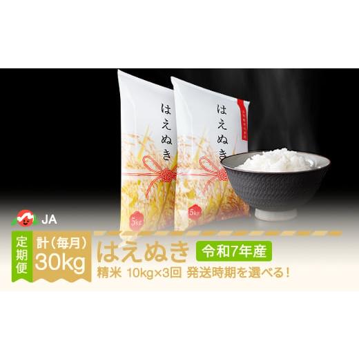ふるさと納税 米 はえぬき 山形県 村山市 米 はえぬき 毎月定期便 10kg×3回 精米 令和7年産 2025年産 2026年2月下旬〜 ja-haxxa10-sm2to4c 2026年2月下旬〜