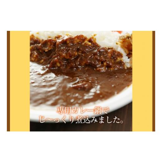 ふるさと納税 埼玉県 嵐山町 カレー 松屋 オリジナルカレーの具 20個 冷凍 セット カレー　【 詰め合わせ 冷凍食品 食品 惣菜 】｜furusatochoice｜03