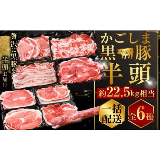 ふるさと納税 豚肉 ロース 鹿児島県 薩摩川内市 KSR-306-a 一括配送 かごしま黒豚半頭 約22.5kg 生産者直送 薩摩八重ファーム 工房みかく亭 一括で発送 生産者…