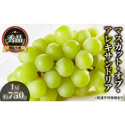 ふるさと納税 ぶどう マスカット 岡山県 里庄町 ぶどう 2026年 先行予約 マスカット・オブ・アレキサンドリア 秀品 1房約750g 化粧箱入り ブドウ 葡萄 岡山県…