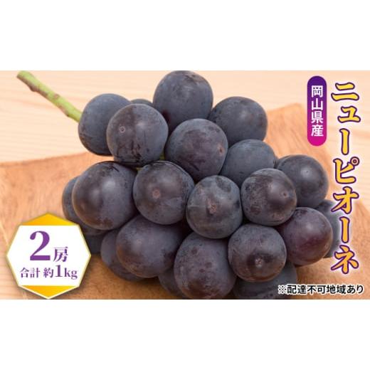ふるさと納税 ぶどう 岡山県 里庄町 ぶどう 2026年 先行予約 ニュー ピオーネ 2房(合計約1kg) ブドウ 葡萄 岡山県産 国産 フルーツ 果物 ギフト ブドウ