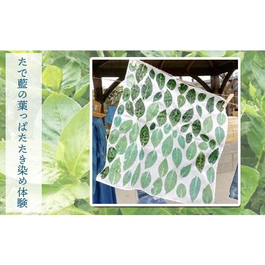 ふるさと納税 ファッション 宮城県 大崎市 (06903)たで藍の葉っぱたたき染め体験