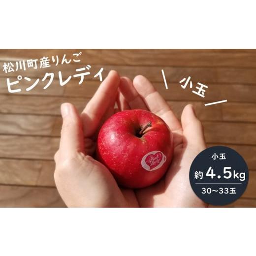 ふるさと納税 りんご 長野県 松川町 PL01-25A ピンクレディー? (小玉)希少なりんご 約4.5kg/2026年1月中旬から発送|ピンクレディ 硬め 長野県 南信州 松川…