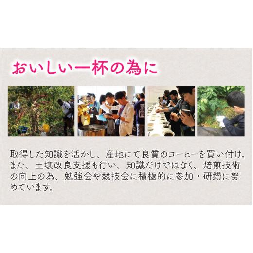 ふるさと納税 福井県 敦賀市 [013-a007] 日本と国際的なコーヒー鑑定士資格所有者がお届け！ドリップコーヒーバッグ 5袋とコーヒー羊羹 3本セット｜furusatochoice｜08